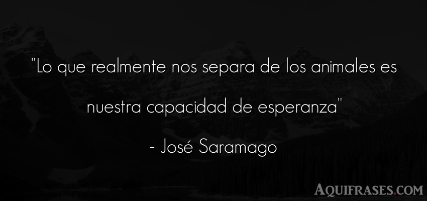 Frase de animales  de José Saramago. Lo que realmente nos separa 