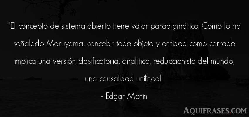 Frase del medio ambiente  de Edgar Morin. El concepto de sistema 