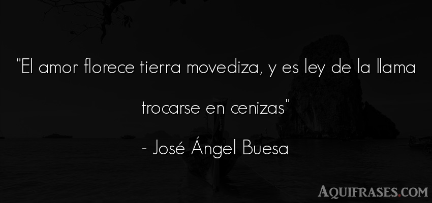 Frase de amor  de José Ángel Buesa. El amor florece tierra 