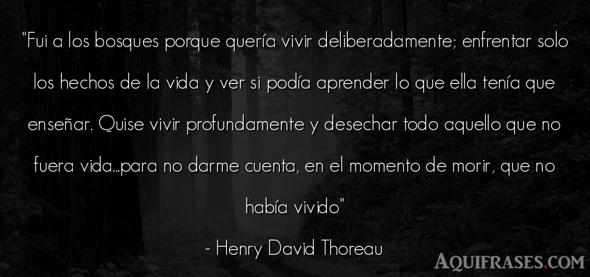 Frase de la vida  de Henry David Thoreau. Fui a los bosques porque 