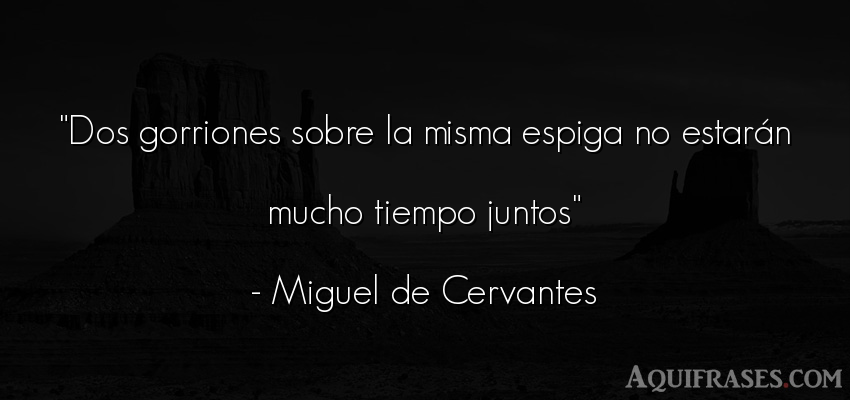 Frase del tiempo  de Miguel de Cervantes. Dos gorriones sobre la misma
