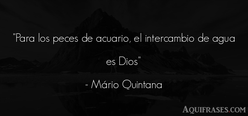 Frase de dio,  de fe  de Mario Quintana. Para los peces de acuario, 