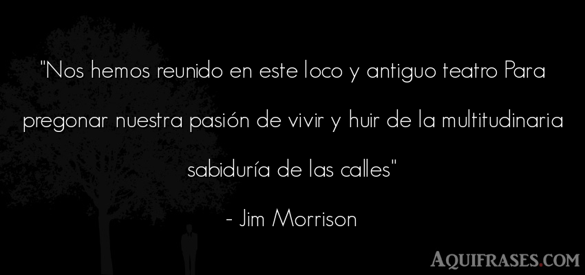 Frase de la vida  de Jim Morrison. Nos hemos reunido en este 