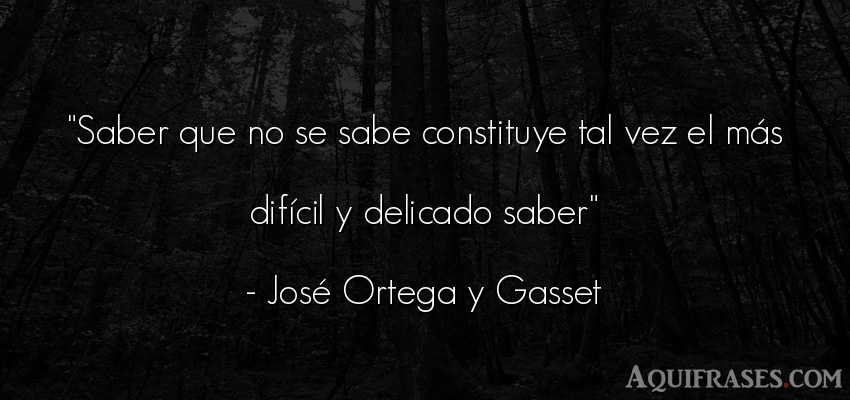 Frase sabia  de José Ortega y Gasset. Saber que no se sabe 