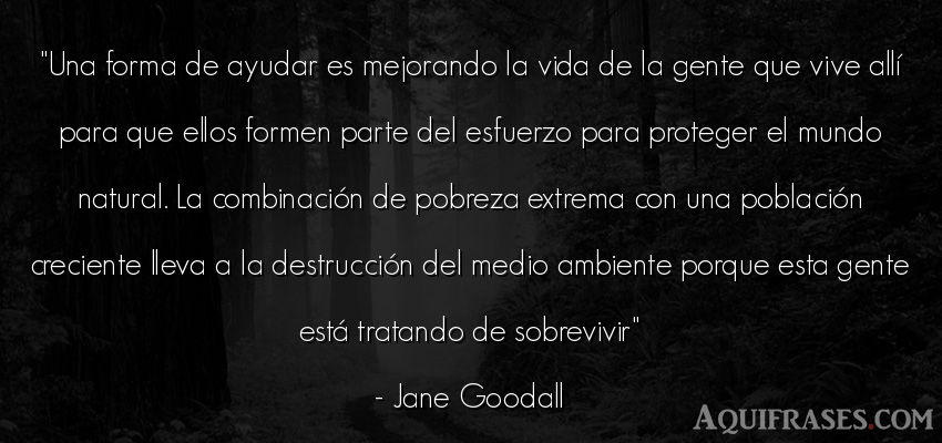 Frase del medio ambiente,  de la vida  de Jane Goodall. Una forma de ayudar es 