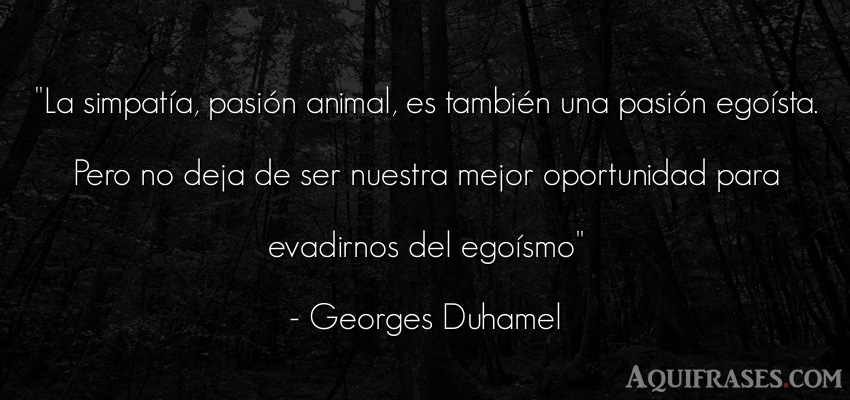 Frase de animales  de Georges Duhamel. La simpatía, pasión animal