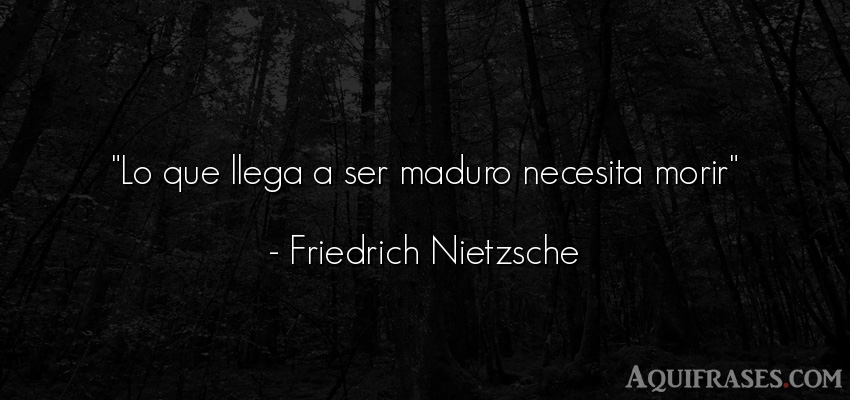 Frase filosófica  de Friedrich Nietzsche. Lo que llega a ser maduro 