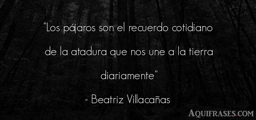 Frase del medio ambiente  de Beatriz Villacañas. Los pájaros son el recuerdo